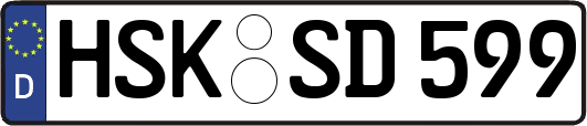 HSK-SD599