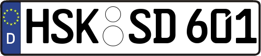 HSK-SD601