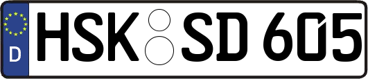 HSK-SD605