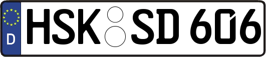 HSK-SD606