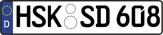 HSK-SD608