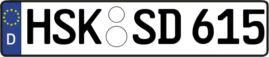 HSK-SD615