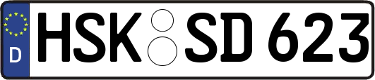 HSK-SD623