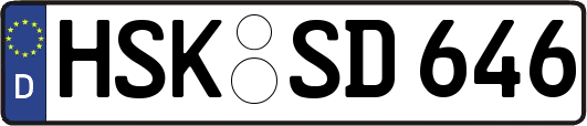 HSK-SD646