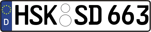 HSK-SD663