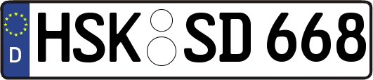 HSK-SD668