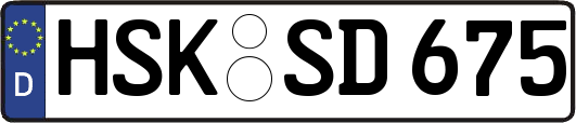 HSK-SD675