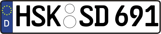 HSK-SD691