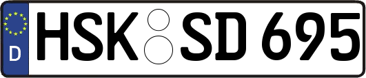 HSK-SD695