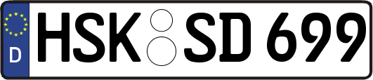 HSK-SD699