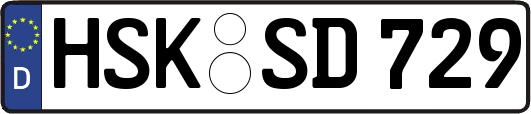 HSK-SD729