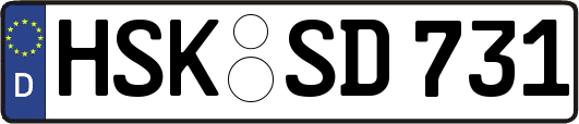 HSK-SD731