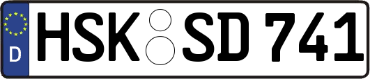 HSK-SD741