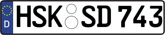 HSK-SD743