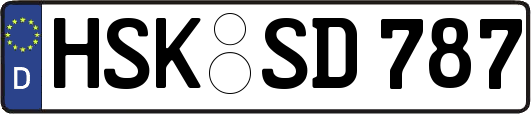 HSK-SD787