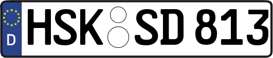 HSK-SD813