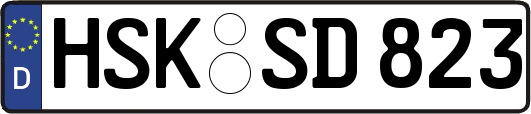 HSK-SD823