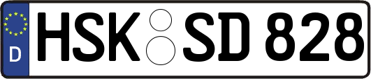 HSK-SD828