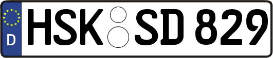 HSK-SD829