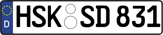HSK-SD831