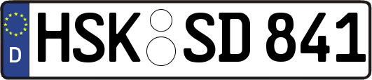 HSK-SD841