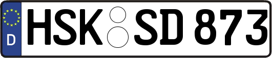 HSK-SD873