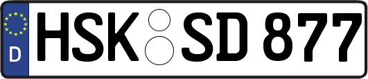 HSK-SD877