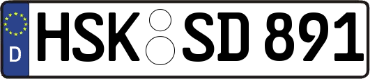 HSK-SD891