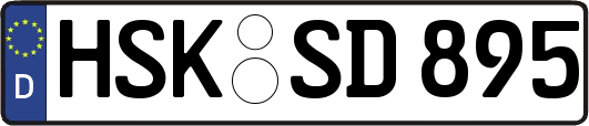 HSK-SD895