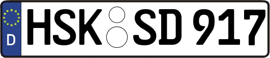HSK-SD917