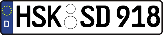 HSK-SD918