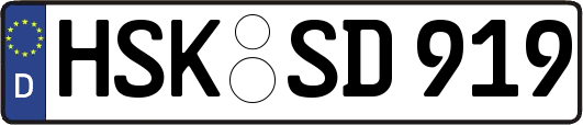 HSK-SD919