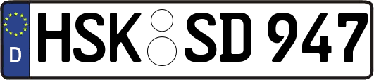 HSK-SD947