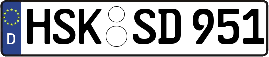 HSK-SD951