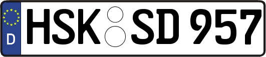 HSK-SD957