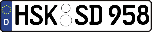 HSK-SD958