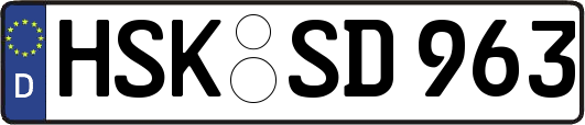 HSK-SD963