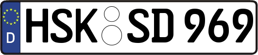 HSK-SD969
