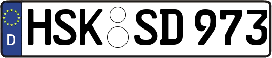 HSK-SD973
