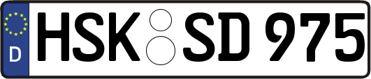 HSK-SD975