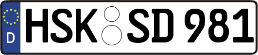 HSK-SD981
