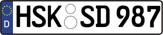 HSK-SD987