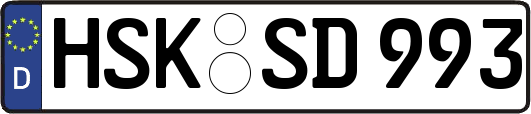 HSK-SD993
