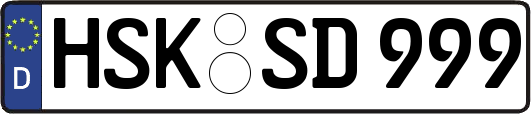 HSK-SD999