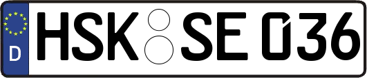 HSK-SE036