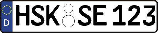 HSK-SE123