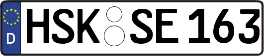HSK-SE163