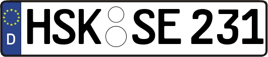 HSK-SE231
