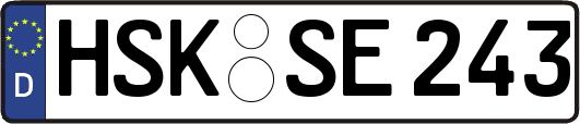 HSK-SE243