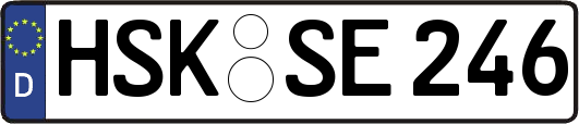 HSK-SE246